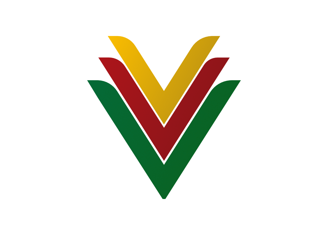 VeVaVi