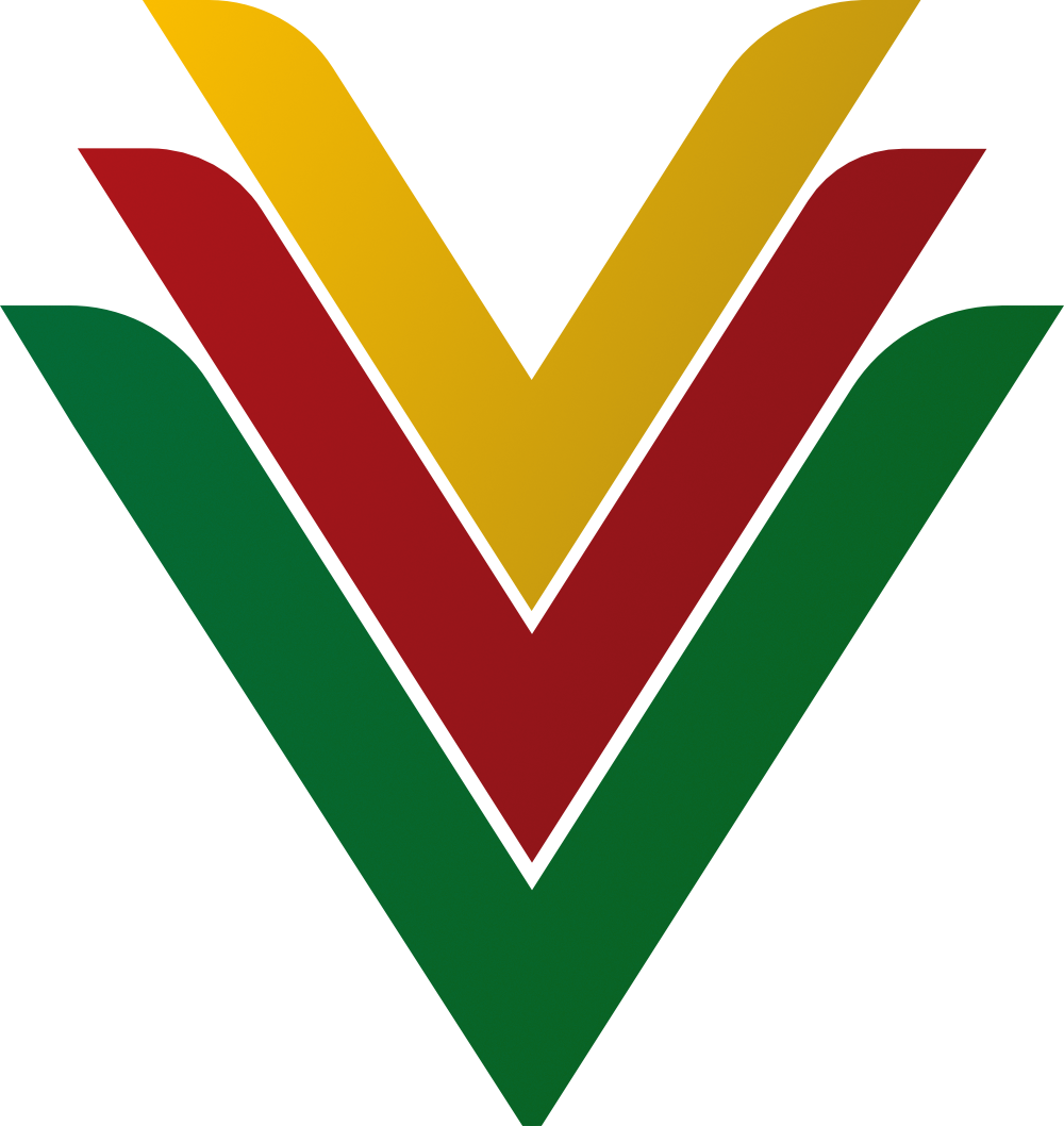 VeVaVi España Logo